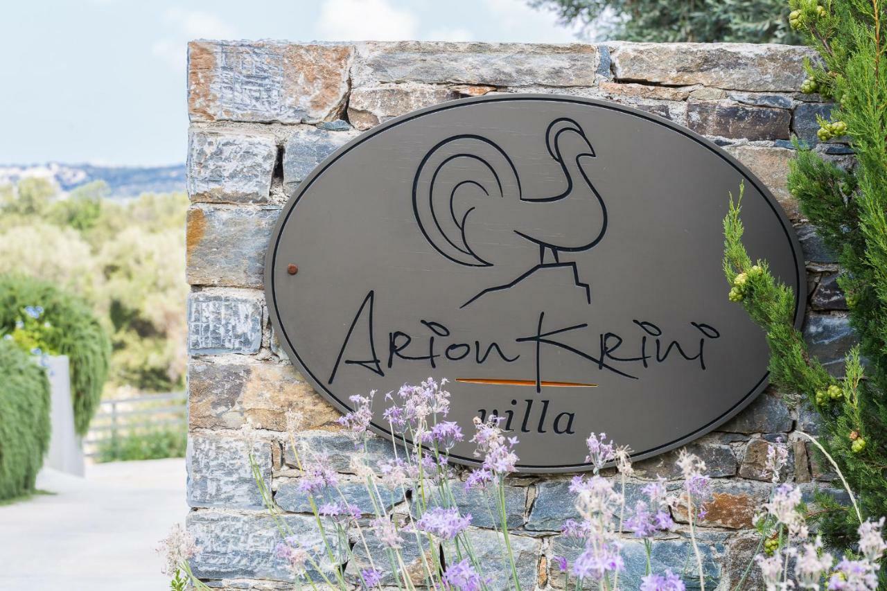 Arion Krini Villa Amnátos Exterior foto