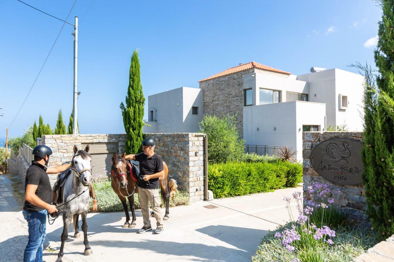 Arion Krini Villa Amnátos Exterior foto